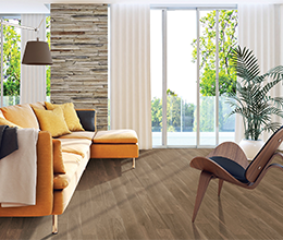 beauflor usa, flooring, sheet vinyl, vinyl flooring, home remodel, home improvement, interior designer, home builder, home flooring