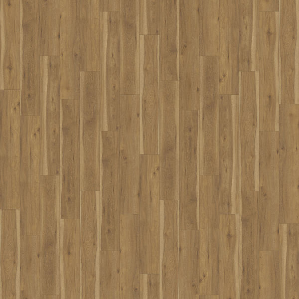 Encompass Golden Hickory 264M