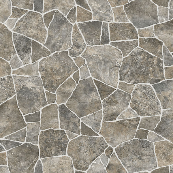 Earthbound Fossil
